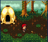 Spacerek po lesie i wizyta u leśnego dziadka.