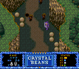 Crystal Beans From Dungeon Explorer (SNES)