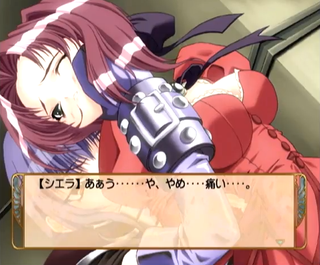 Card of Destiny: Hikari to Yami no Tougoumono (JAP) (Dreamcast)