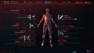 Cyberpunk 2077 (PC)