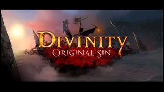 Divinity: Original Sin (PC)