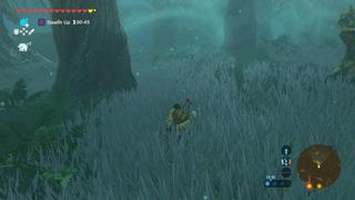 Legend of Zelda (The): Breath of The Wild (Switch)